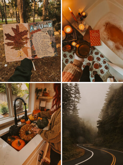 cozyinthepines