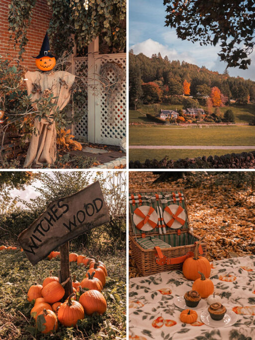 pumpkinscenery