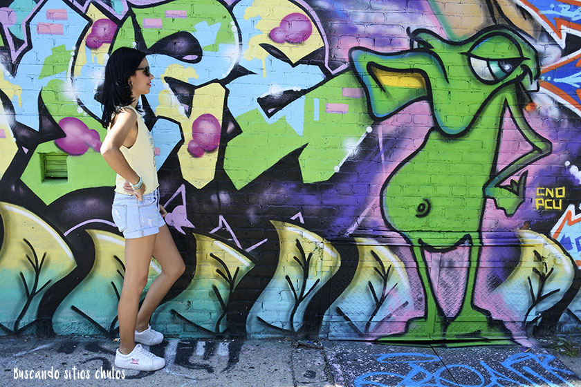 Ruta de graffitis por Bushwick