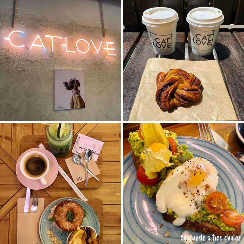 Desayunar en Gijón: Catlove Coffee