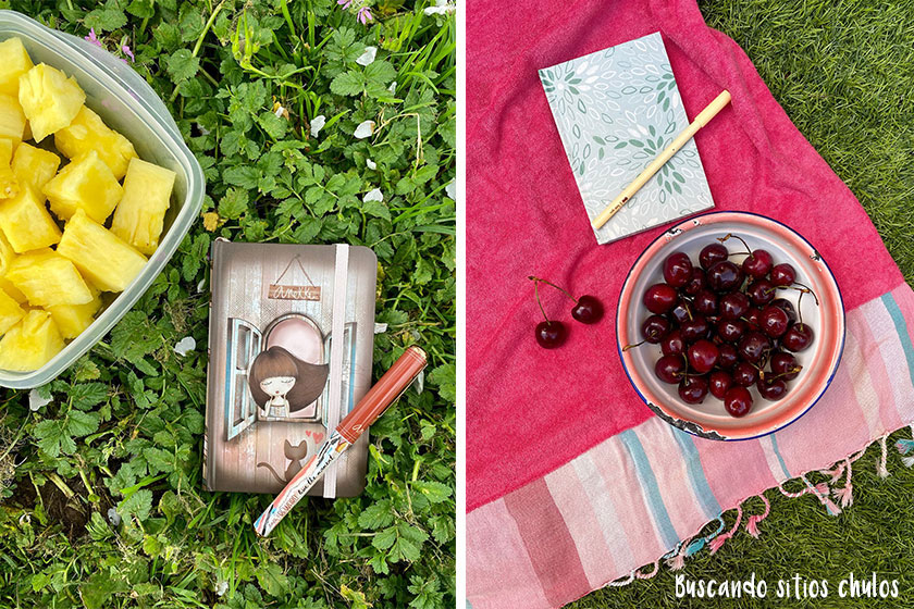 Picnic en la naturaleza