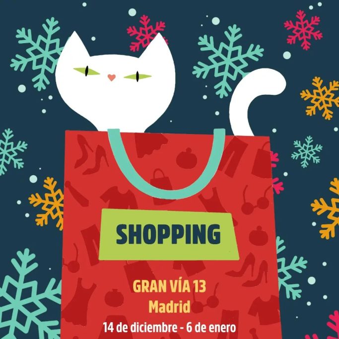 Mercadillo del Gato en Madrid