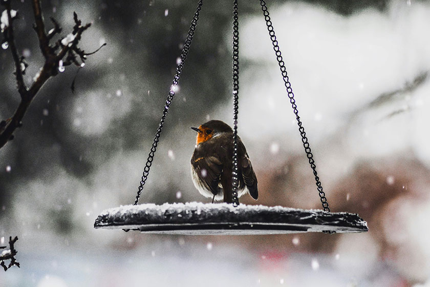 Mindfulness en invierno