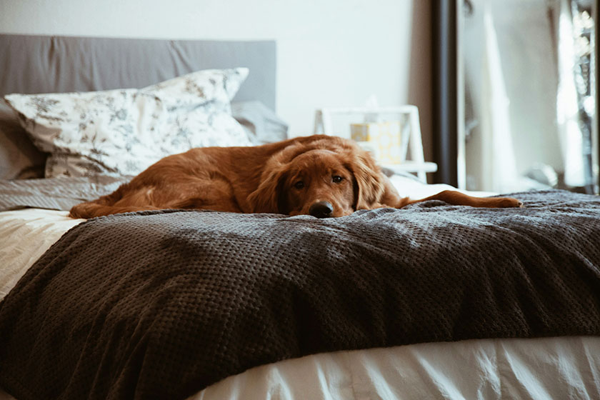 Ideas para un fin de semana "slow" en casa.