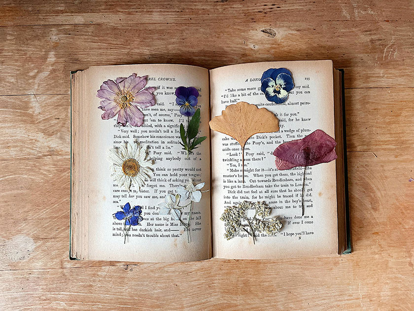 Creatividad en primavera: prensar flores