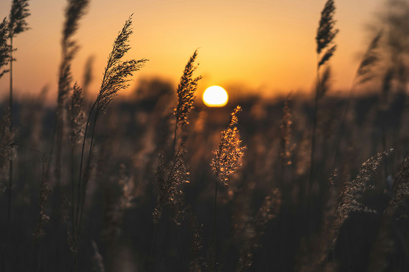 Atardecer en verano