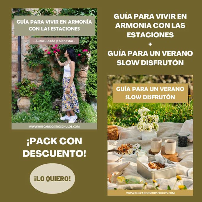 Pack guías estaciones y verano
