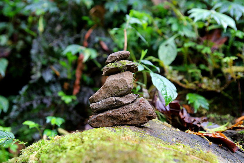 Vivir al ritmo de la naturaleza