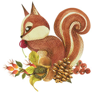 Ardilla otoño