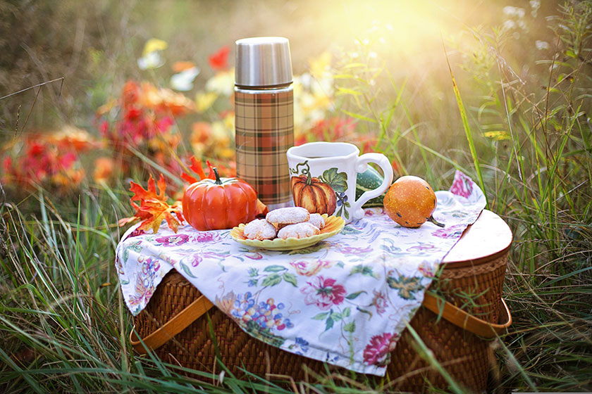Picnic otoñal