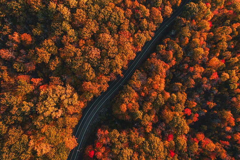 Destinos para viajar en otoño: Nueva Inglaterra