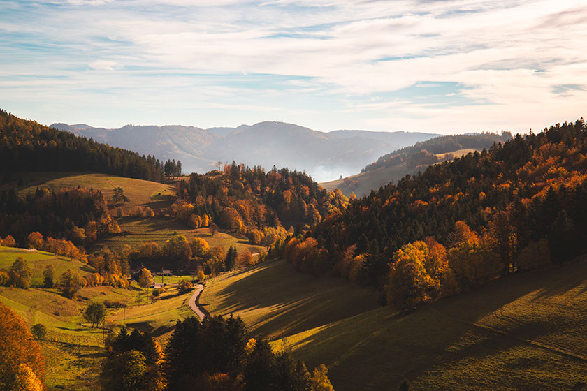 Selva Negra (Alemania)